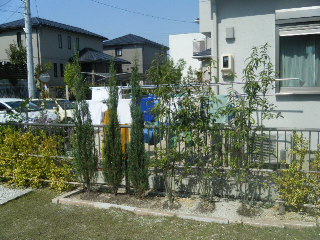 庭を華やかに、植木の移動、植栽。＠春日井市高蔵寺