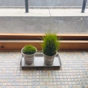 温暖化の時代に外構会社が届けたい天然芝「ナルオターフ」の魅力 - 外構工事・エクステリアの楓林庭・岐阜県多治見市