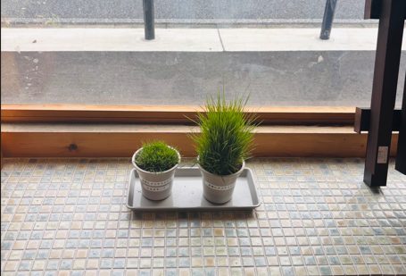 温暖化の時代に外構会社が届けたい天然芝「ナルオターフ」の魅力
